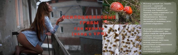 ALPHA PVP Арсеньев