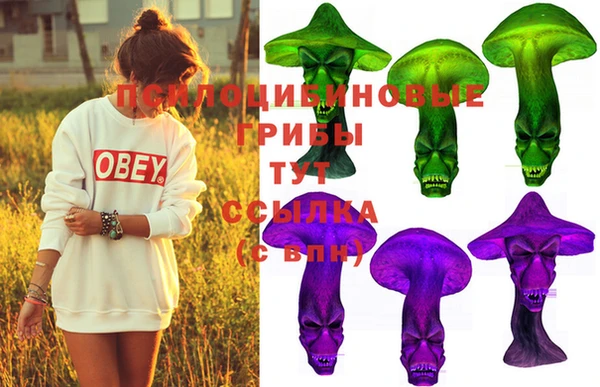 винт Армянск