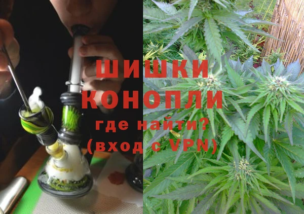 ПСИЛОЦИБИНОВЫЕ ГРИБЫ Аркадак