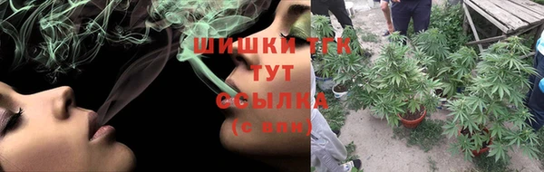 ПСИЛОЦИБИНОВЫЕ ГРИБЫ Аркадак