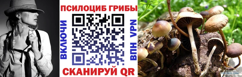 как найти закладки  Вичуга  Галлюциногенные грибы прущие грибы 